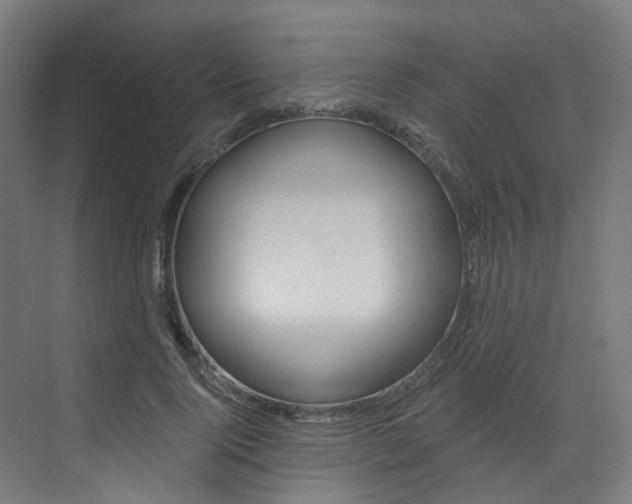X0000073530740200607311015