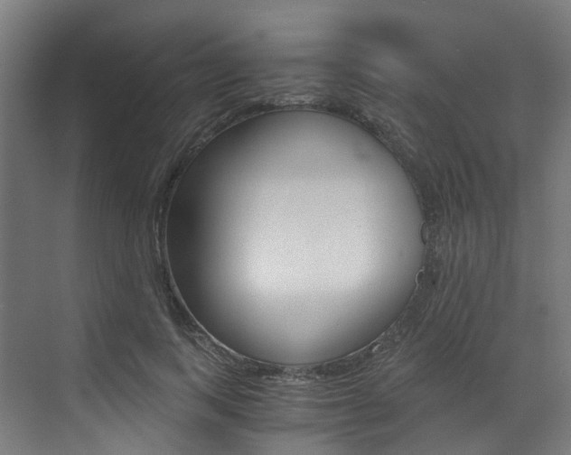 X0000073530743200607311015
