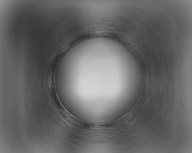 X0000073530746200607311015