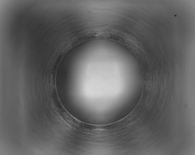 X0000073530748200607311015