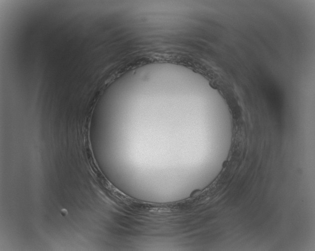 X0000073530749200607311015