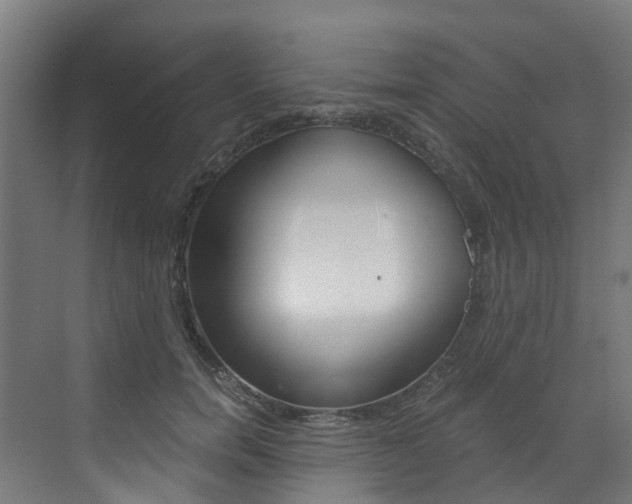 X0000073530750200607311015