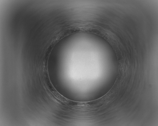 X0000073530752200607311015