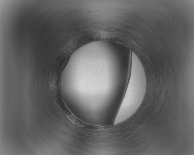 X0000073530760200607311015