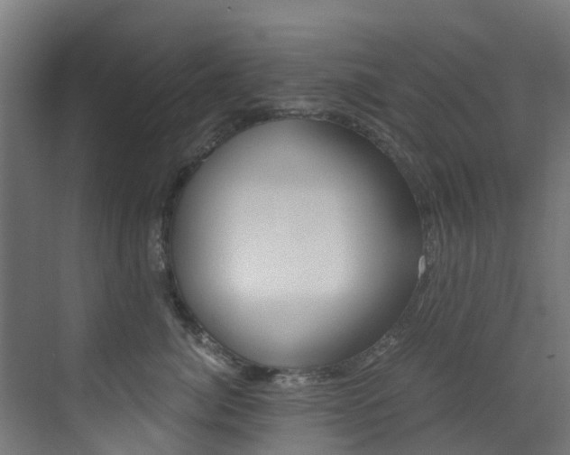 X0000073530764200607311015