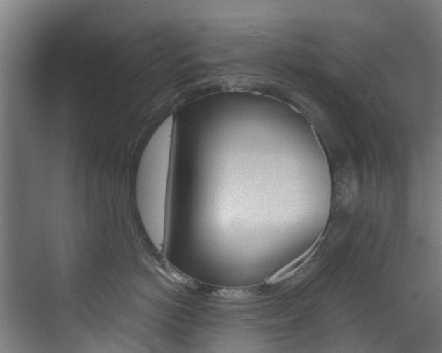 X0000073530766200607311015