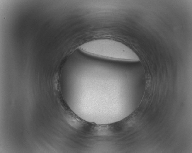 X0000073530767200607311015