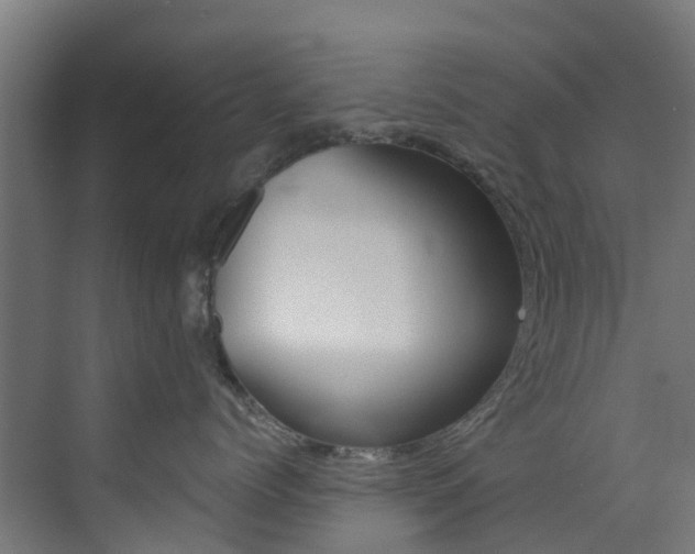 X0000073530768200607311015