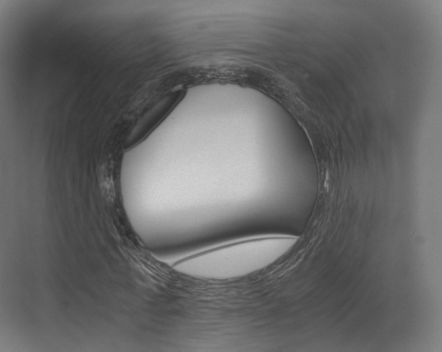 X0000073530771200607311014