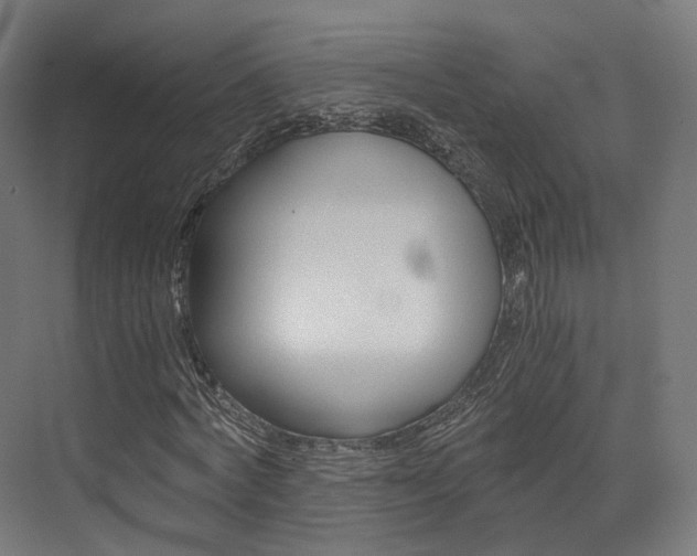 X0000073530772200607311014