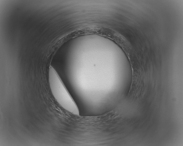 X0000073530773200607311014