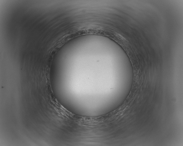 X0000073530774200607311014