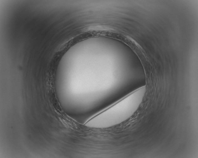 X0000073530775200607311014