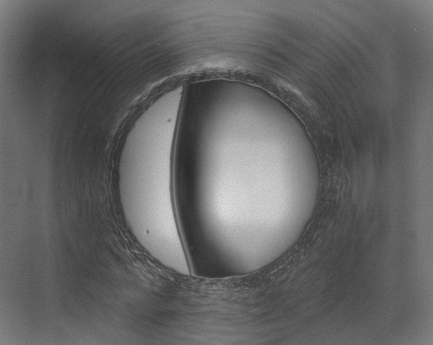 X0000073530776200607311014
