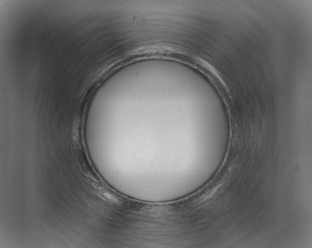 X0000073530778200607311014