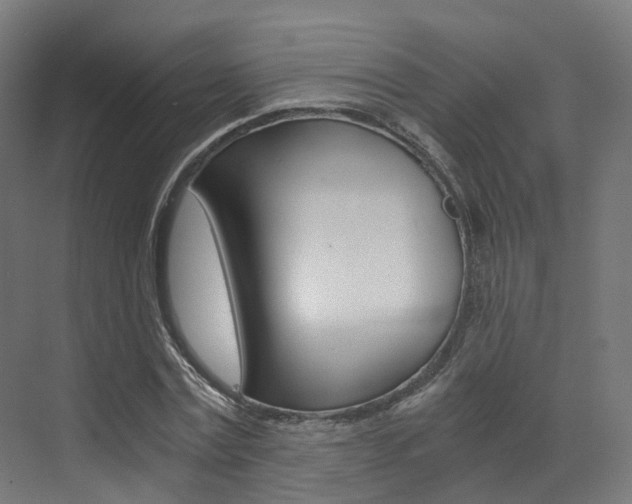 X0000073530779200607311014