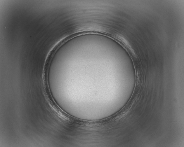X0000073530780200607311014