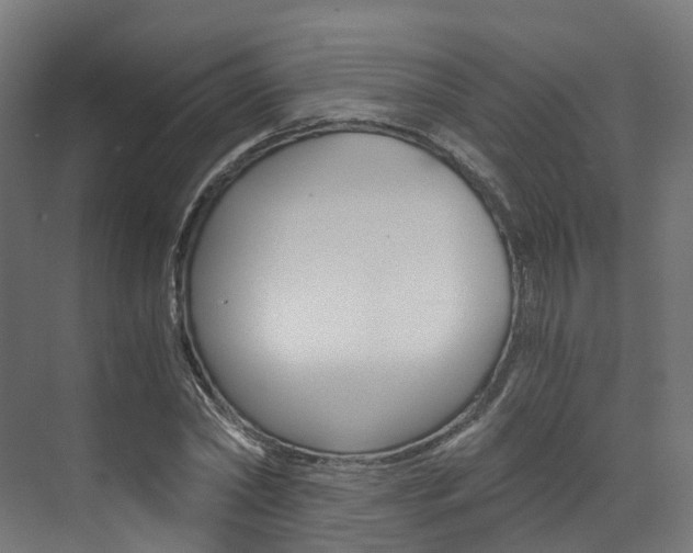 X0000073530782200607311014