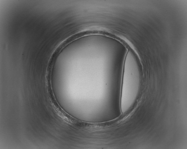 X0000073530783200607311014