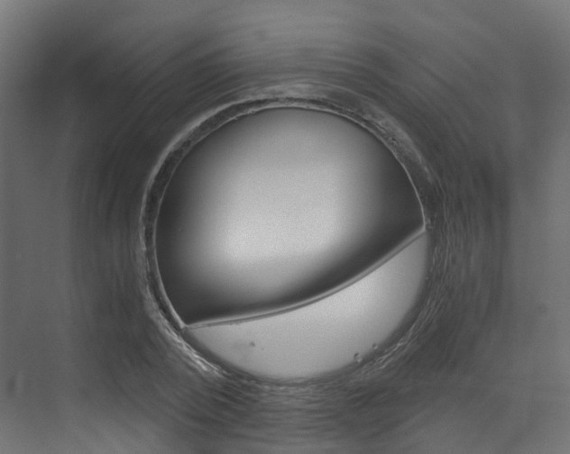 X0000073530784200607311014