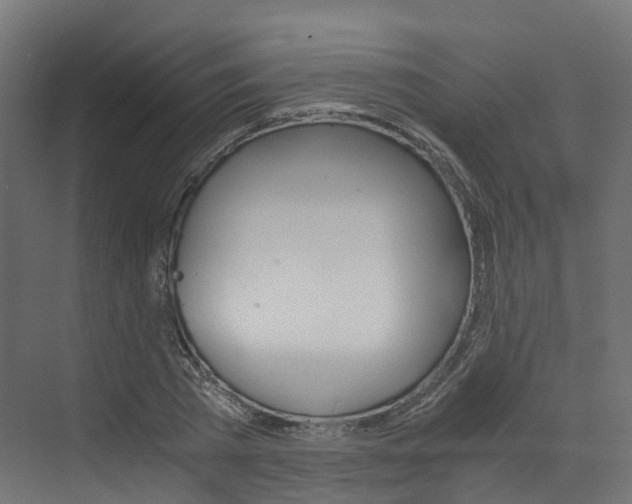 X0000073530785200607311014