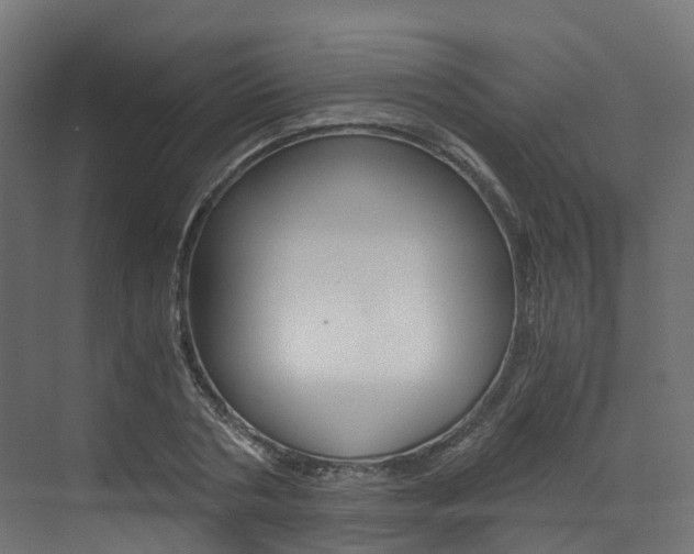 X0000073530786200607311014