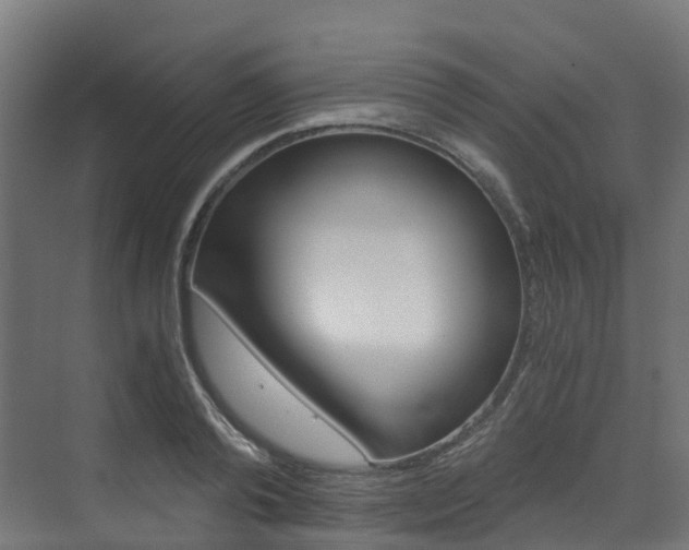 X0000073530792200607311014