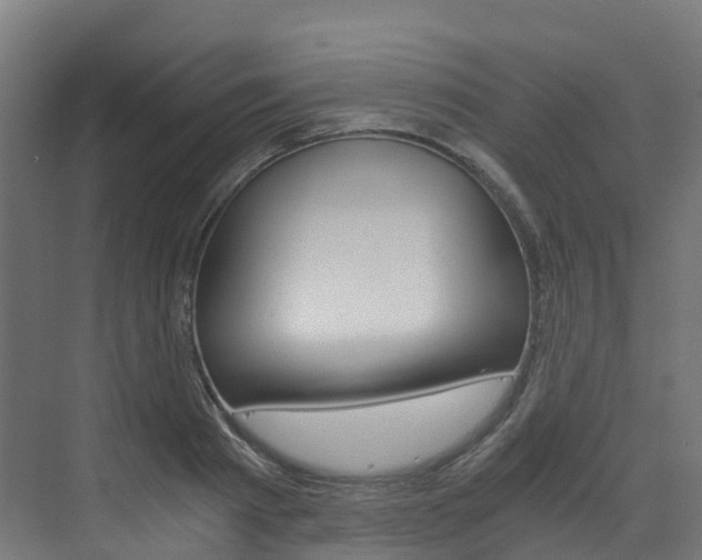 X0000073530793200607311014
