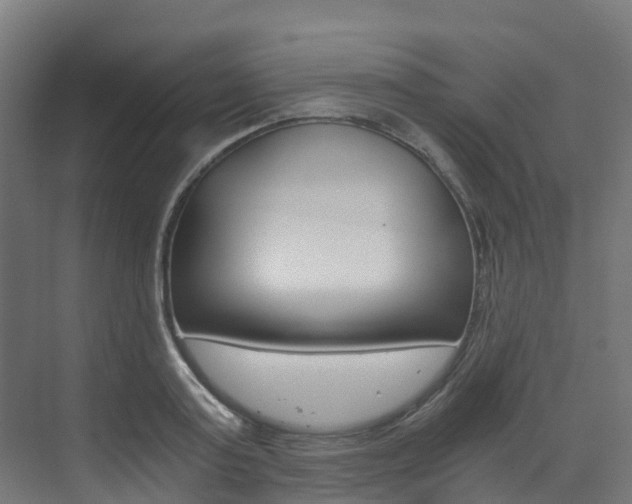 X0000073530795200607311014