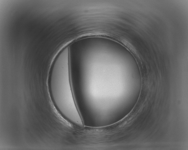 X0000073530797200607311014
