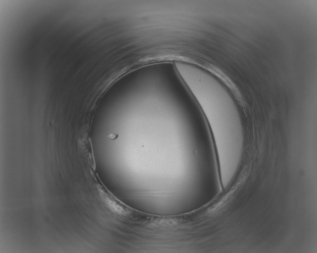 X0000073530801200607311014