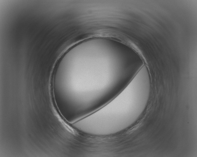 X0000073530803200607311014