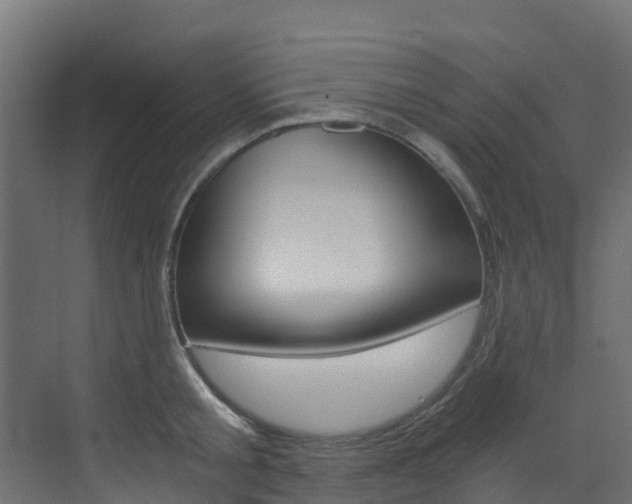 X0000073530805200607311014