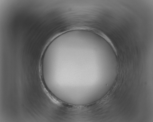 X0000073530811200607311014