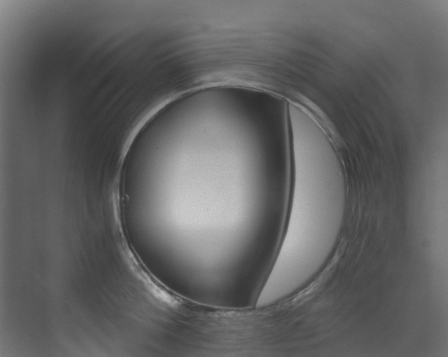 X0000073530812200607311014