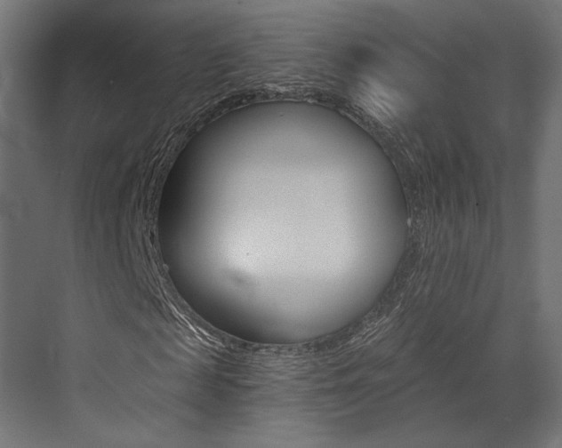 X0000073530817200607311013