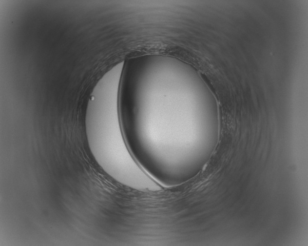 X0000073530818200607311013