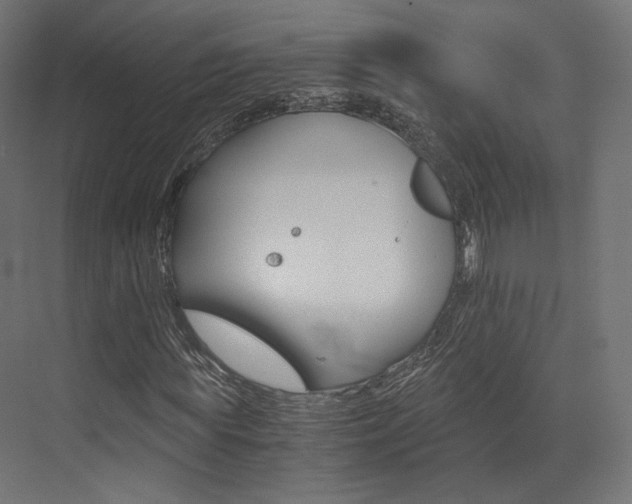 X0000073530819200607311013