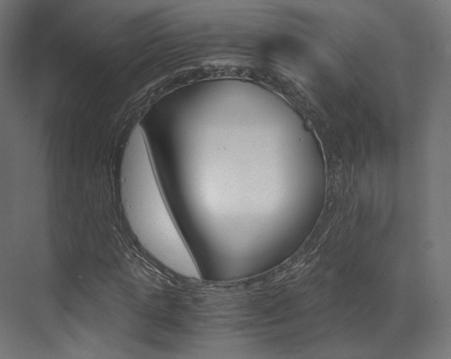 X0000073530821200607311013
