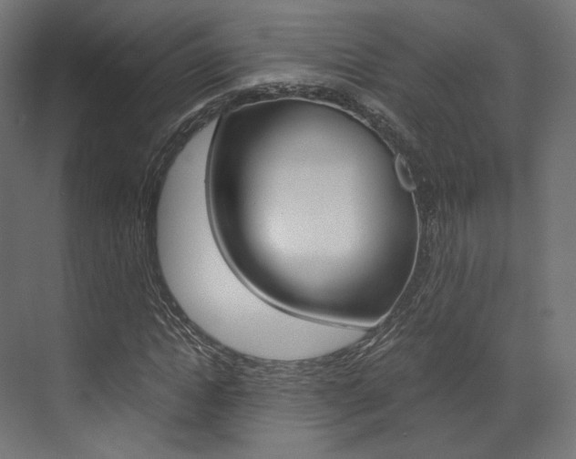 X0000073530822200607311013