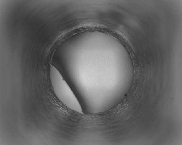X0000073530823200607311013