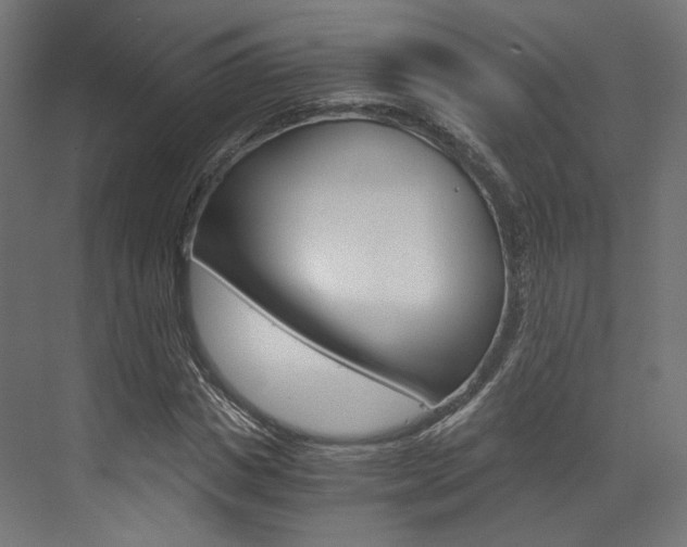 X0000073530825200607311013