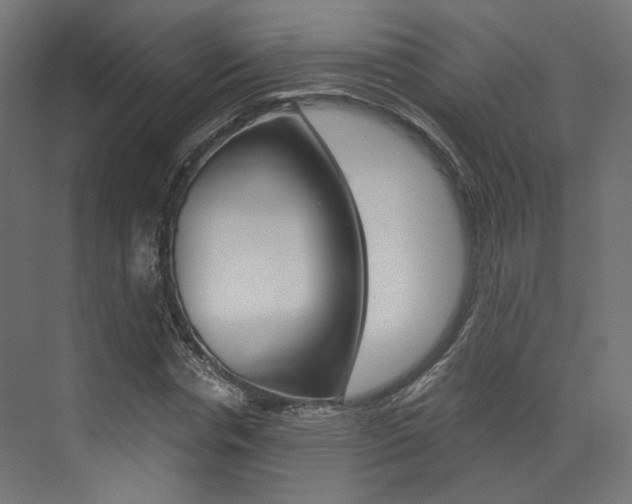 X0000073530826200607311013
