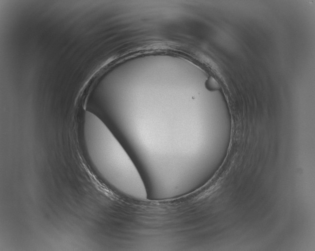 X0000073530827200607311013