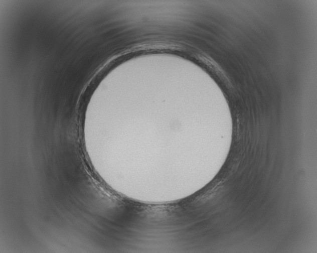 X0000073530828200607311013