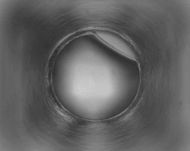 X0000073530830200607311013