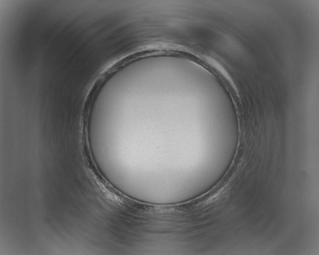 X0000073530831200607311013