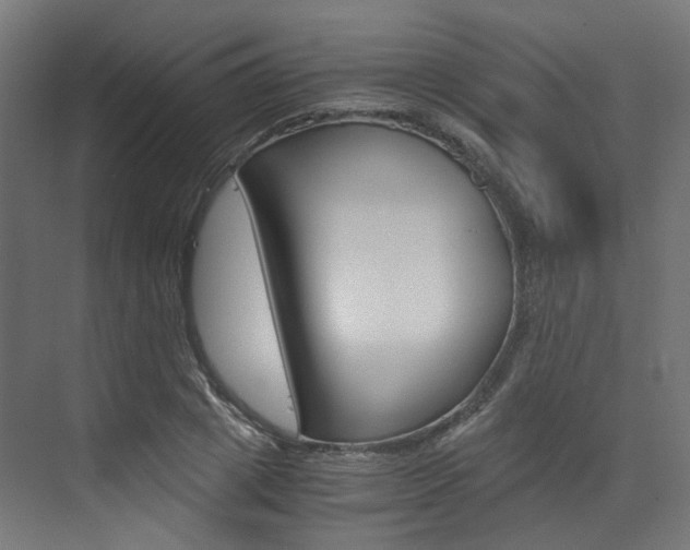 X0000073530833200607311013