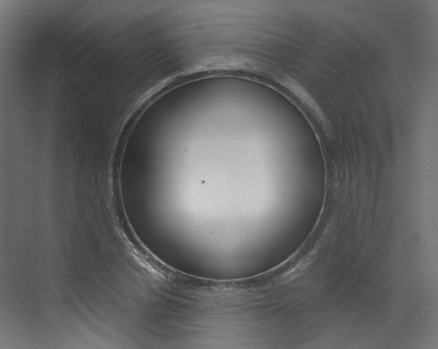 X0000073530834200607311013