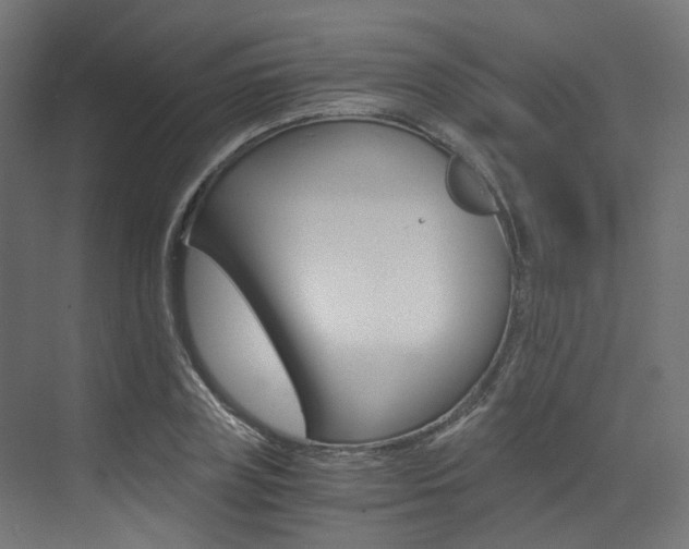 X0000073530835200607311013